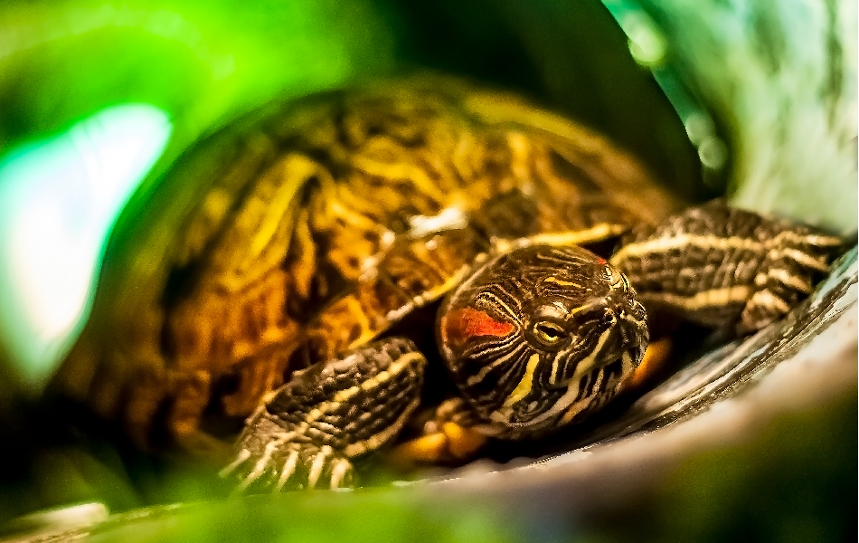 San Marco – Außenansicht